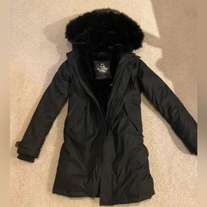 Aritzia Summit Parka